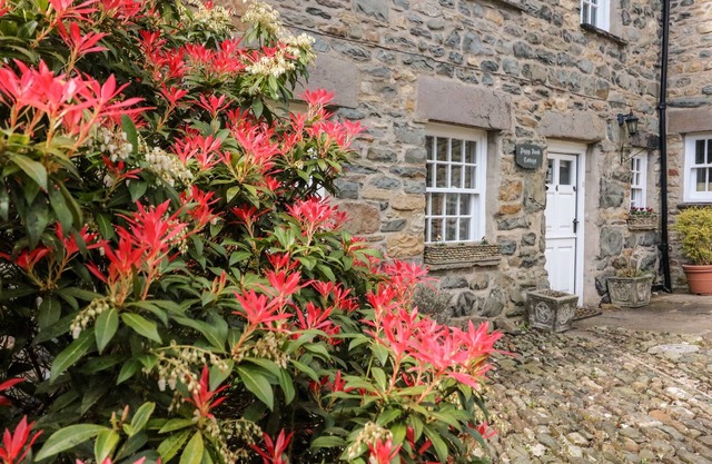 Piggy Bank Cottage