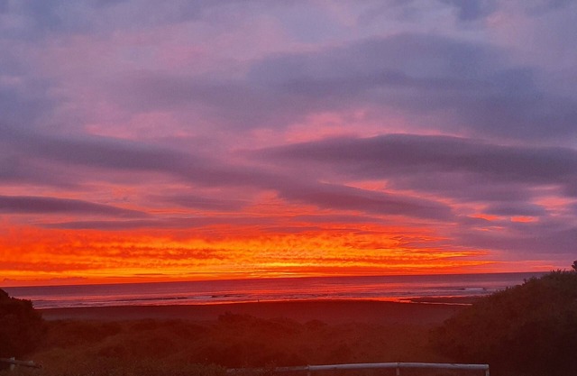 Piha Beachfront Sunset and Surf Watch!
