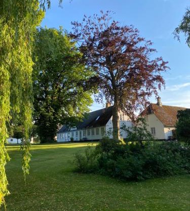 Pilemosegaard