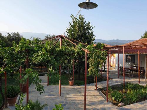 PILIO PARADISE GARDEN
