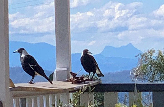 Pindari Cottage, Top of the Range