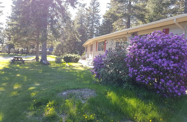 Pine cone Motel