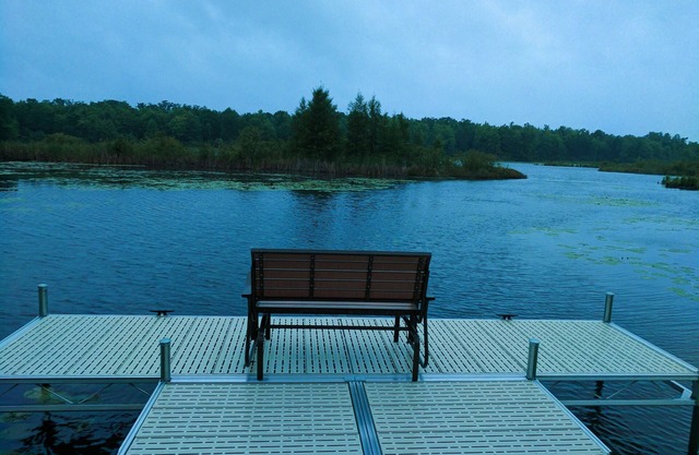 Rastros de pino en MyLakeLodge
