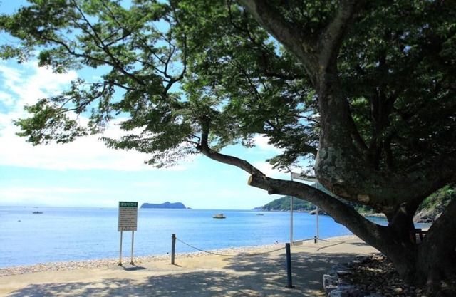 Pinky Marine Pension