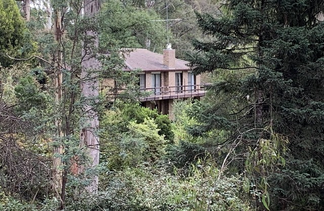 Pinnacle Park -3.5 Acres of beautiful forest