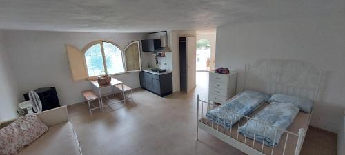 Piuma Studio