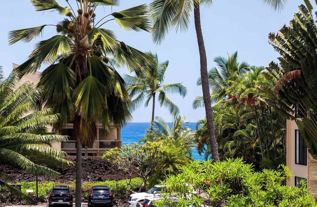Plan Your Hawaii Vacay at Grace's Oasis!
