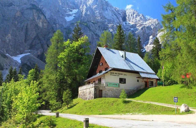 PLANINSKA KOČA NA GOZDU