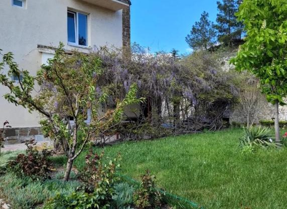 Plavi Horizonti