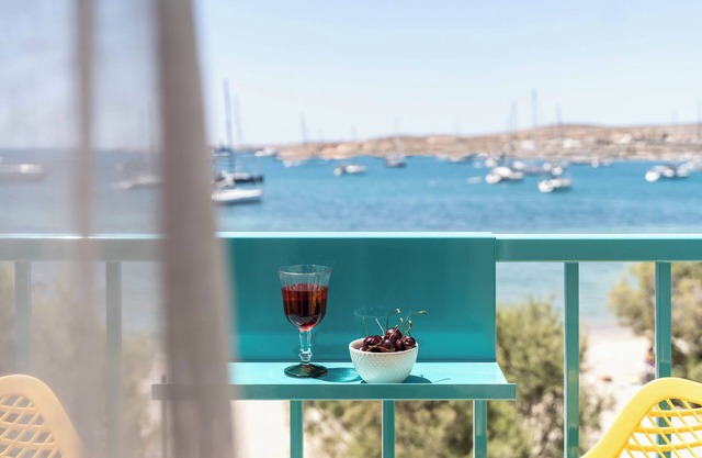 Play Paros