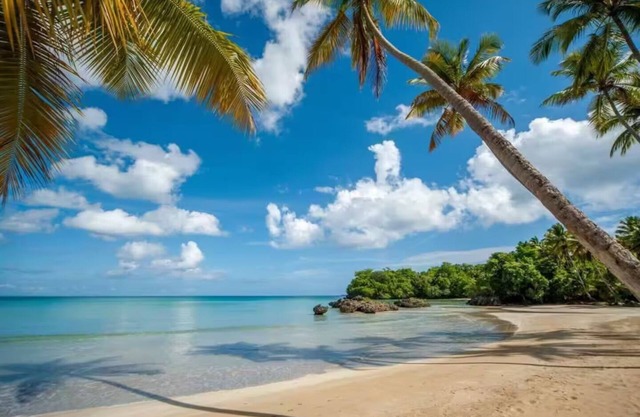 Playa Bonita 1BR Penthouse & Spa – Serene Getaway Steps from the Beach