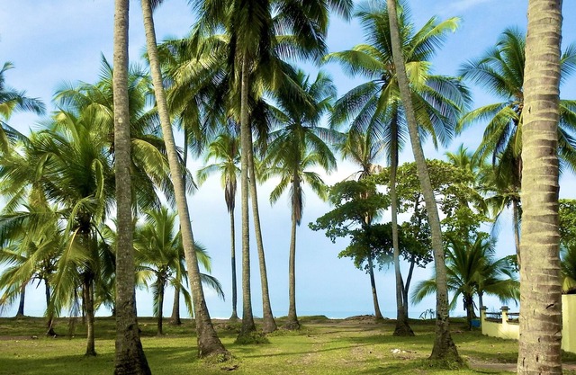 Tropical oceanfront three bedroom newly remodeled home.