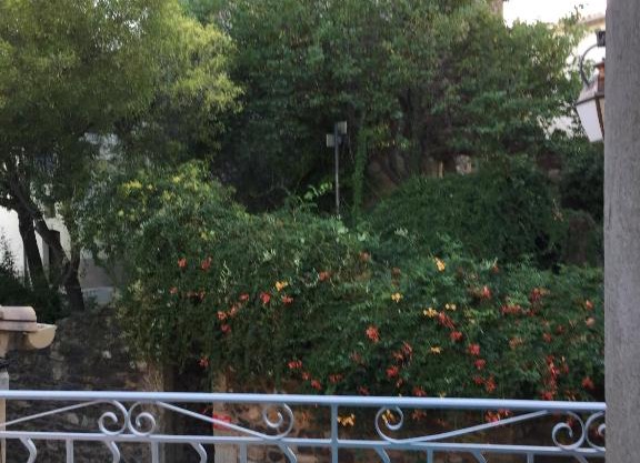 Plein Sud : jolie maison dans village pittoresque de l'Hérault.