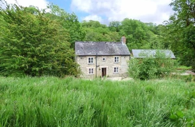 Ploony Cottage, BLEDDFA