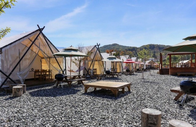 Pocheon Moonlight Dog Glamping Site