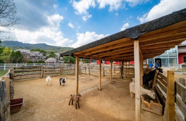 Pocheon Seoundongsan Pension