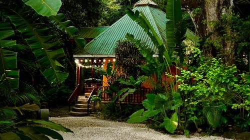 Pochote Jungle House