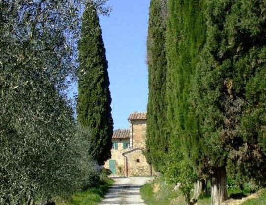 Podere Calcinaia