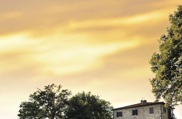 Podere Campinovi