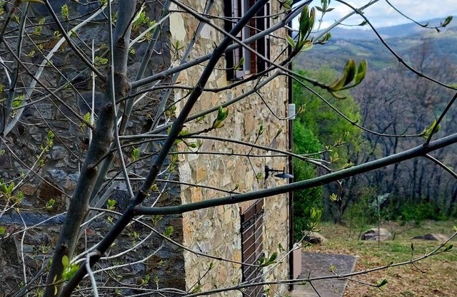Podere Frassinelli