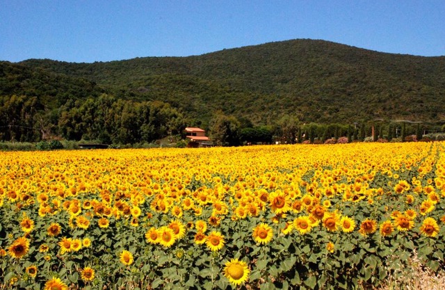Podere Valborgina