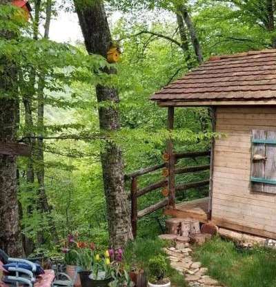 Poet's Hut in The Mountains