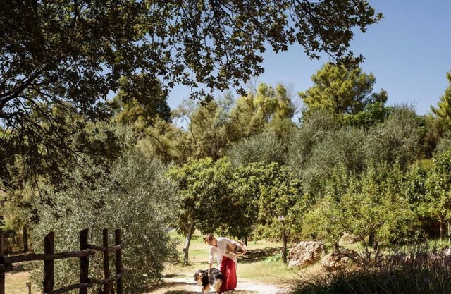 Poggio Ai Santi