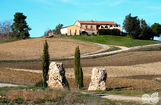 Poggio alla Pietra 26