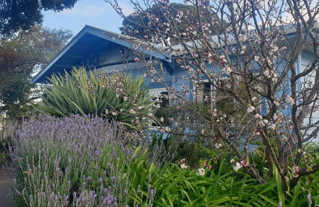 Pohutukawa Villa