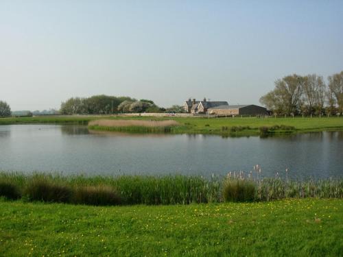 Point Farm