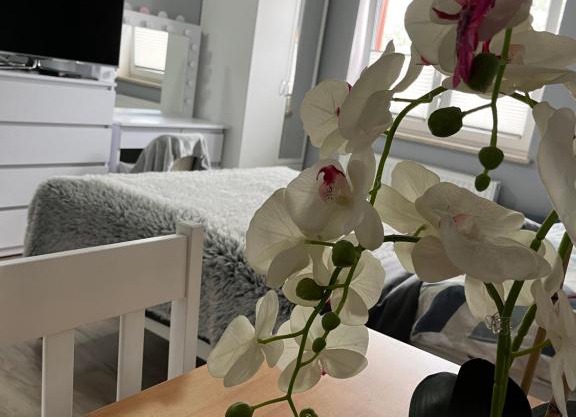 Pokoje gościnne U Sylwii