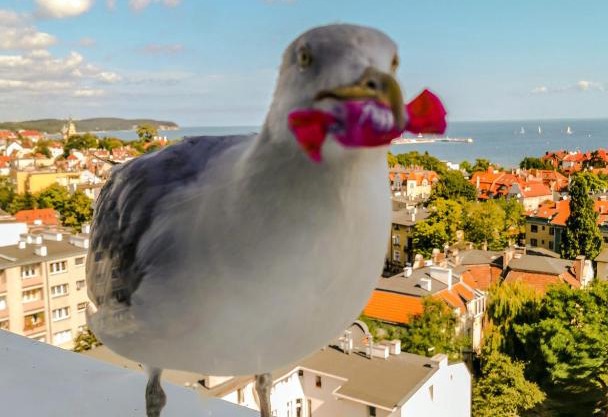 Pokoje przy plaży z widokiem na morze