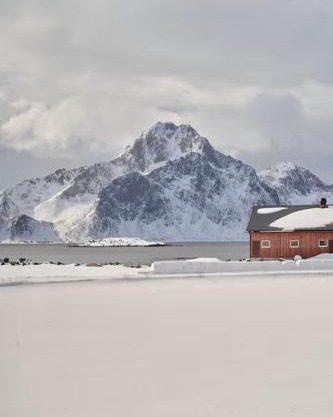 Polarhagen