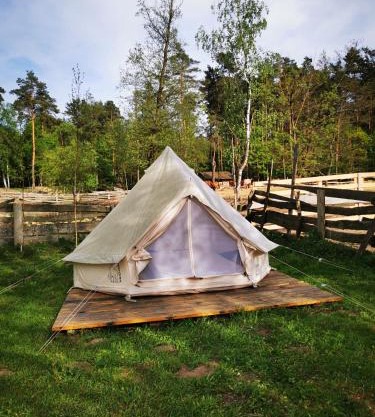 pole namiotowe Stajnia Kaliska