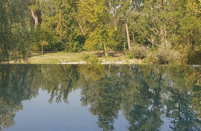 Pool House Avec Piscine et SPA Privés,à 20 km D'avignon, 5 min du Parc Spirou