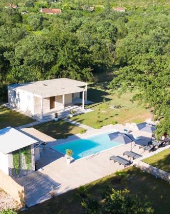 Pool House Paun