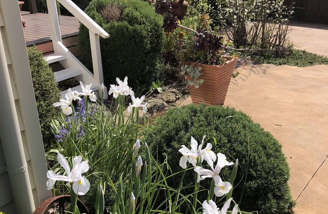 Port Campbell Guesthouse & Flash Packers
