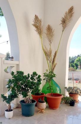 Porto Si Cu Ro