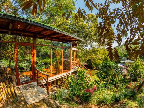 Posada Amazonia