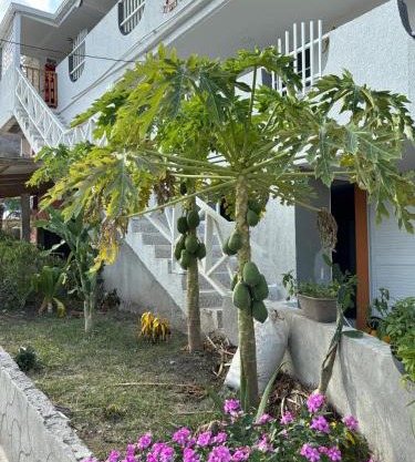 Posada ontimeview