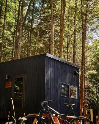 Postcard Cabins Piney Woods