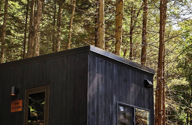Postcard Cabins Piney Woods