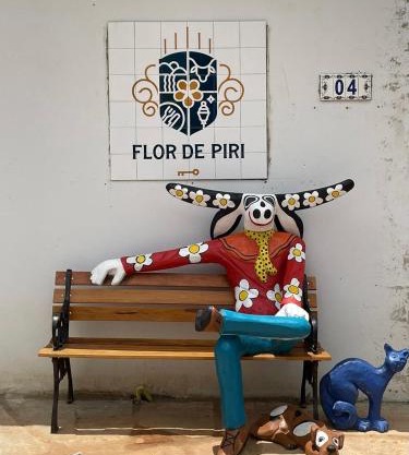 Pousada Flor de Piri