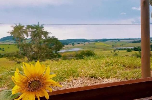 Pousada flores de ipê