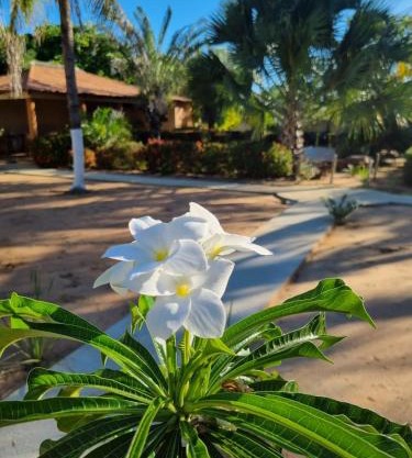 Pousada Jardim da Lagoa-BA