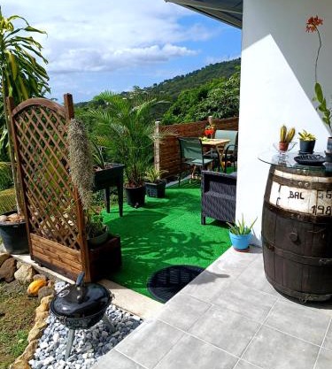 Poz Tropicale