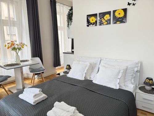 Praha 1 Florenc Hlavní mesto Romantic Apartments