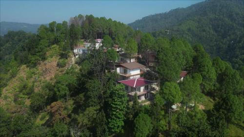Prakrti The Nature
