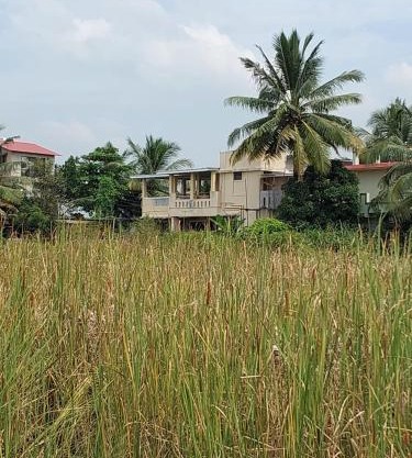 Prashant Homestay Alibag
