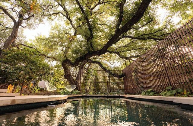 Preservation Austin Home, restored to Midcentury Glory